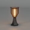 enerj-f350-2 ENER-J 20W Solar Gate Light with Spiral Neon Light — 3W Panel, 2000mAh Battery, Warm White, IP65 - ENER-J India