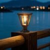 ENER-J 25W Solar Gate Light with Diamond Neon Flickering Bulb — 3W Panel, 2000mAh, Warm White, IP65 - ENER-J India