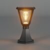 ENER-J 25W Solar Gate Light with Diamond Neon Flickering Bulb — 3W Panel, 2000mAh, Warm White, IP65 - ENER-J India