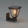 ENER-J 25W Solar Gate Light with Diamond Neon Flickering Bulb — 3W Panel, 2000mAh, Warm White, IP65 - ENER-J India