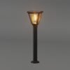 ENER-J 25W Solar Gate Light with Diamond Neon Flickering Bulb — 3W Panel, 2000mAh, Warm White, IP65 - ENER-J India